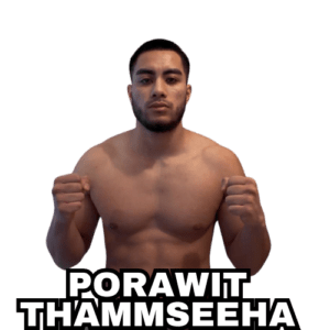 Porawit Thammseeha