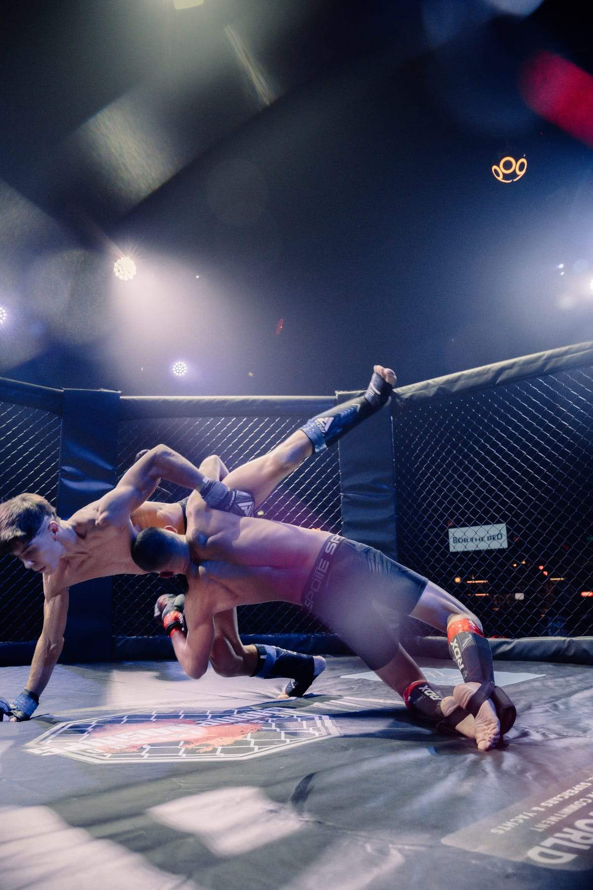 Apex 03 fight action