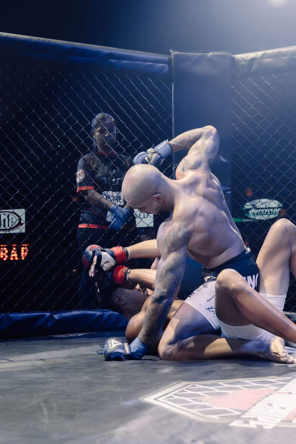 Apex 03 fight action