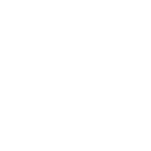 Stylized logo for Fight Division